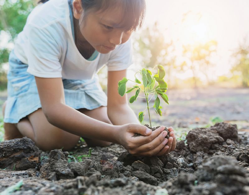 Young girl nurturing a plant to grow