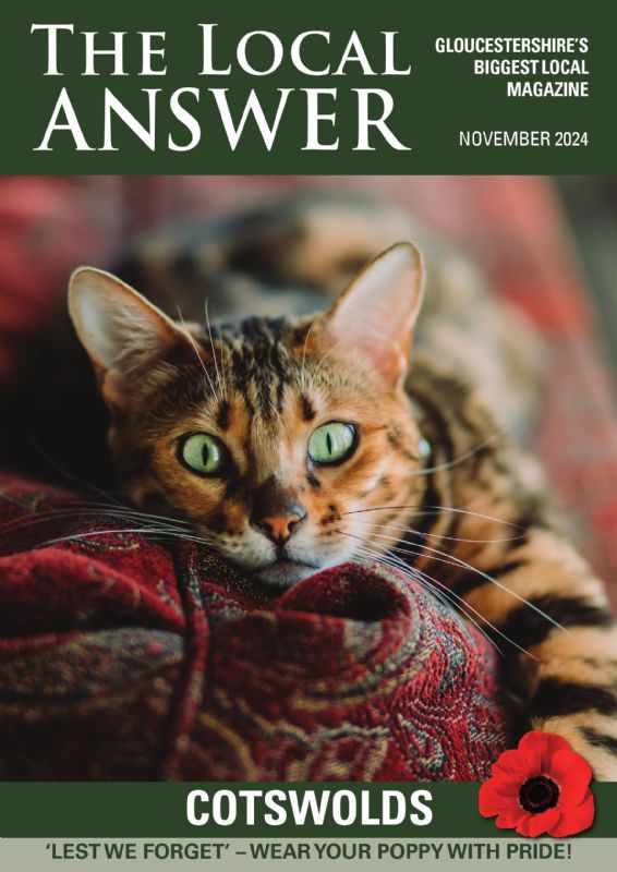 The Local Answer Magazine, Cotswold edition, November 2024