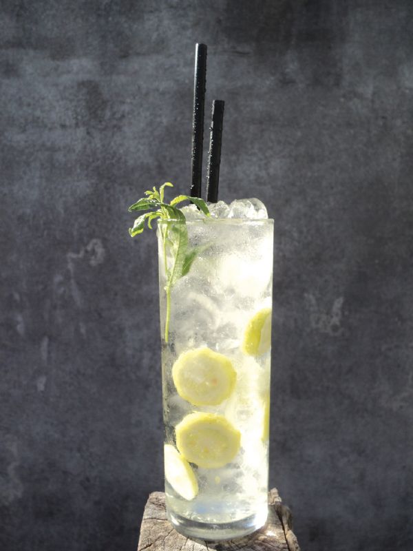 Tom Collins