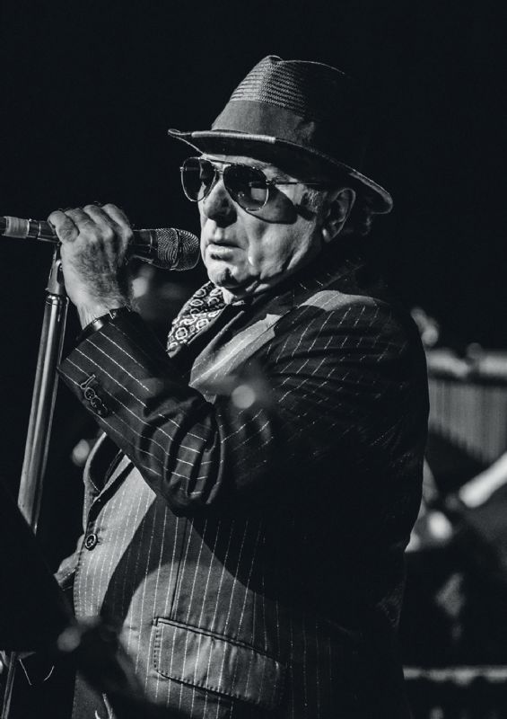 Van Morrison