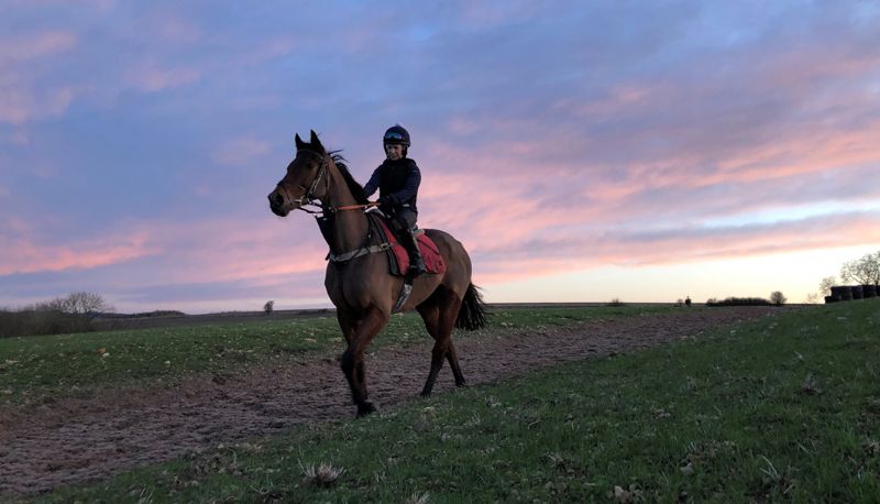 “The horses and everyone here, they’re all very happy,” says Fergal O’Brien of his new training location