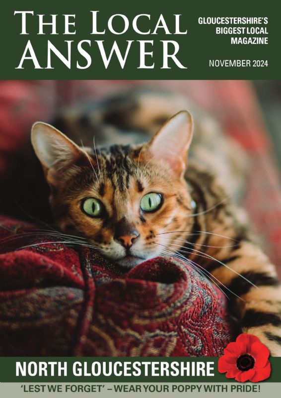 The Local Answer Magazine, North Gloucestershire edition, November 2024