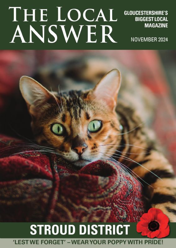 The Local Answer Magazine, Stroud District edition, November 2024