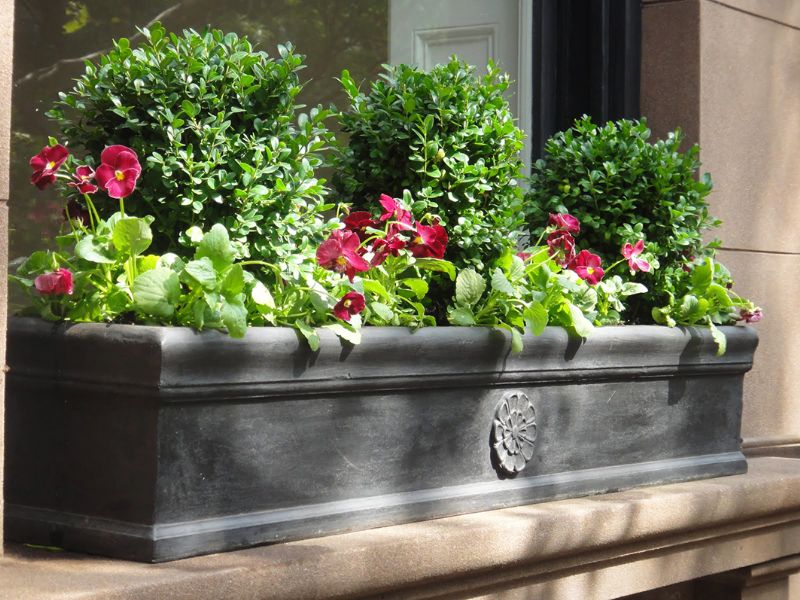 Flower Box