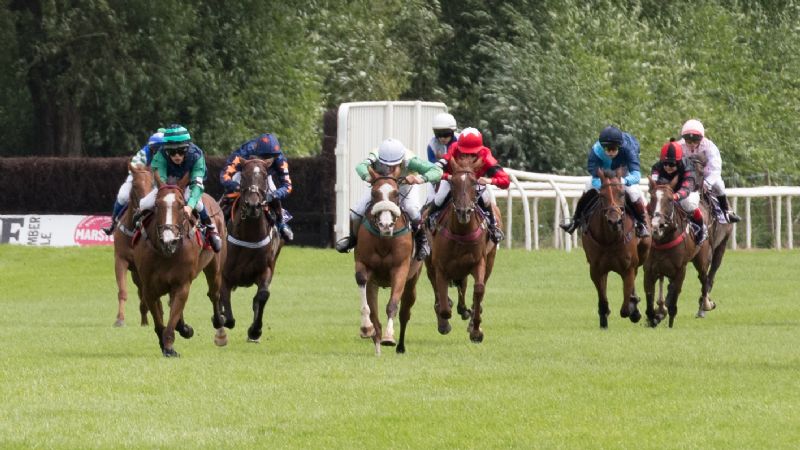 Pony racing is the start of a journey for many top jockeys these days. Picture, nigelkirbyphotography