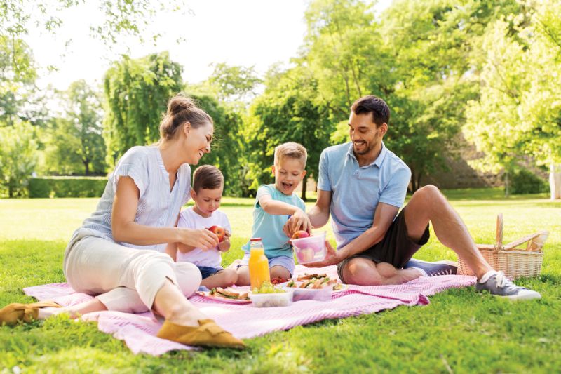 Family picnic eco-friendly